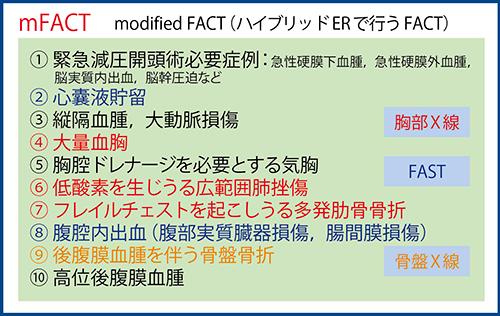 図2　mFACT（modified FACT：ハイブリッドERで行うFACT）で評価すべき10項目