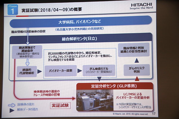 実証試験の概要