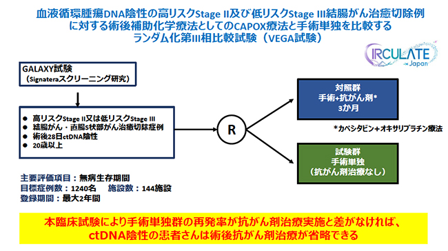 VEGA試験の概要